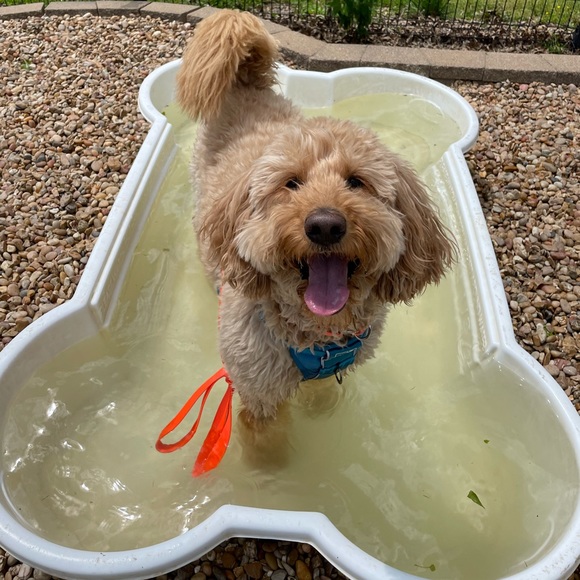 💜 - Picture 9 of 16